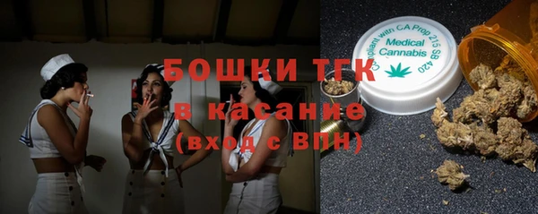 индика Новодвинск