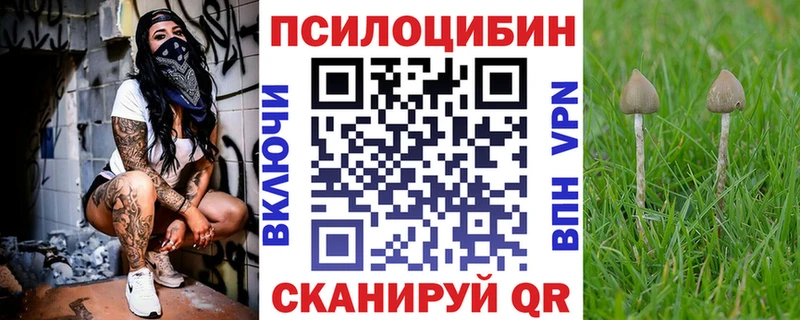 blacksprut ссылки Трёхгорный Галлюциногенные грибы ЛСД