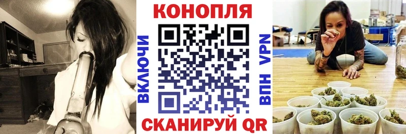 Конопля семена  купить наркоту  Трёхгорный 